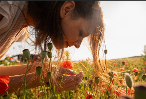 O que é o equinócio da primavera?