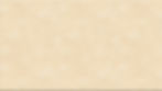 parchment.jpeg