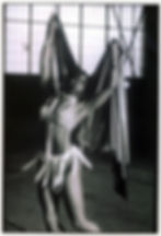 Josephine Baker tribute