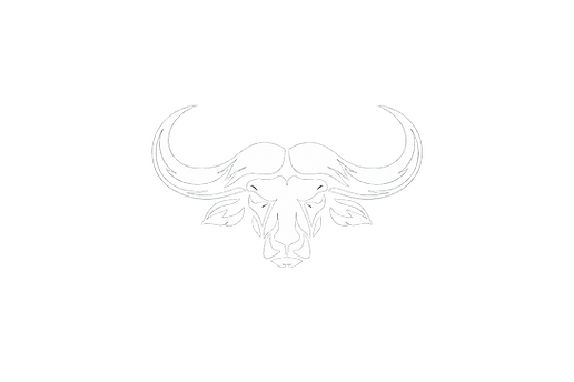 buffalo