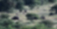 DSC_2762.jpeg