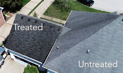 Shingle roof showing before and after roof rejuvenation
