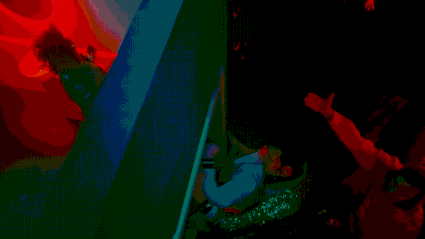 72b4eb199455093.6651e59063dbf.gif