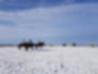 snowpic