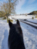 snowpic2