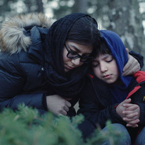 SILENT TREES / DRZEWA MILCZĄ /НІМІ ДЕРЕВА