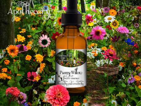 New Essence for New Beginnings