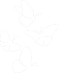 4 Butterflies.png