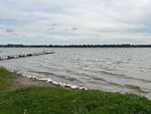 IMG_0014.jpeg