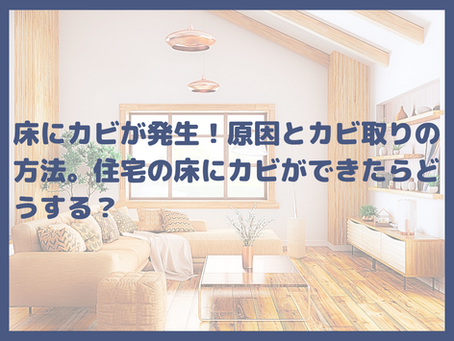 床にカビが発生!原因とカビ取りの方法。住宅の床にカビができたらどうする?