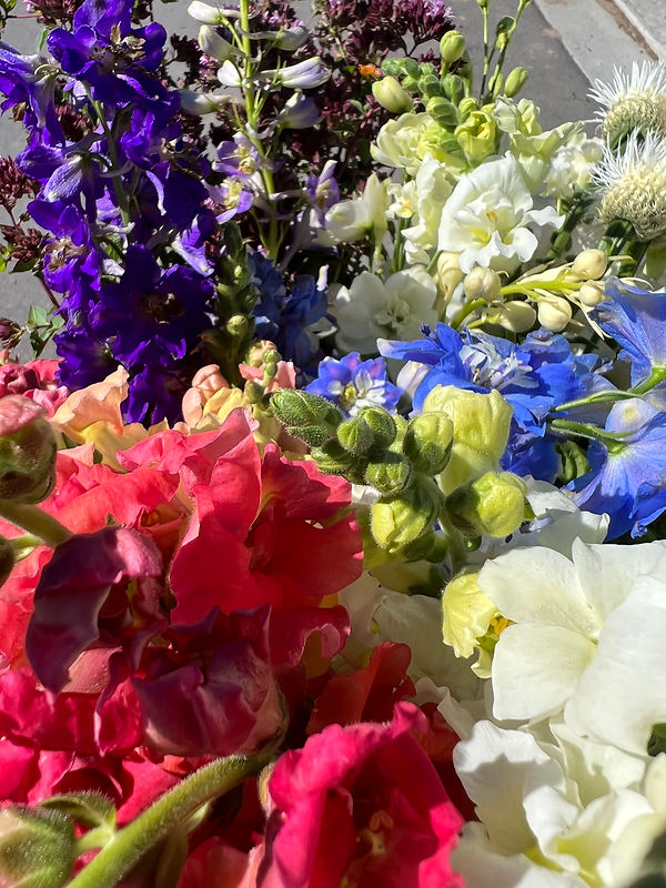 Flower Farmer Wild Willow Gardens Local Flowers Springville