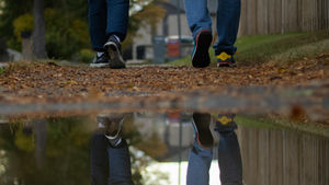 Finding Comfort in Counselling