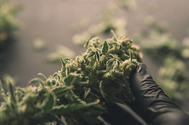 AdobeStock_361170871.jpeg