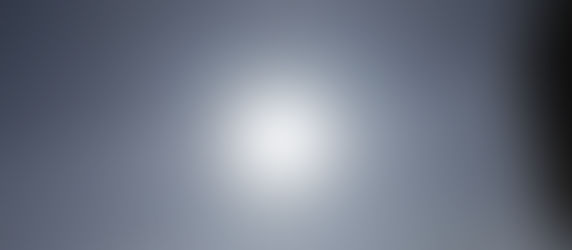 2月9日(金) いちごの葉を見つけました!