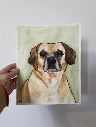 Dog1