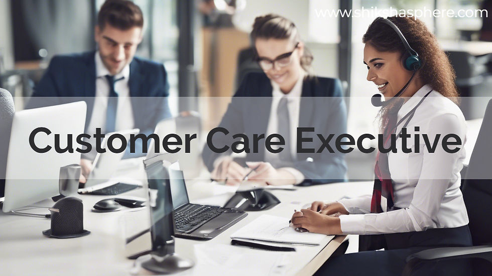 Customer Care Executive