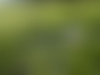 Thank you Aura Power