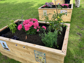 Best Futures Sensory Garden Open Event