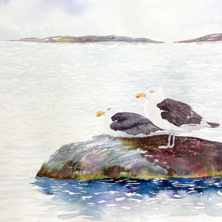 Två trutar på sitt skär.