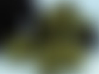 Legalize Online Cannabis: Secure Your Delivery