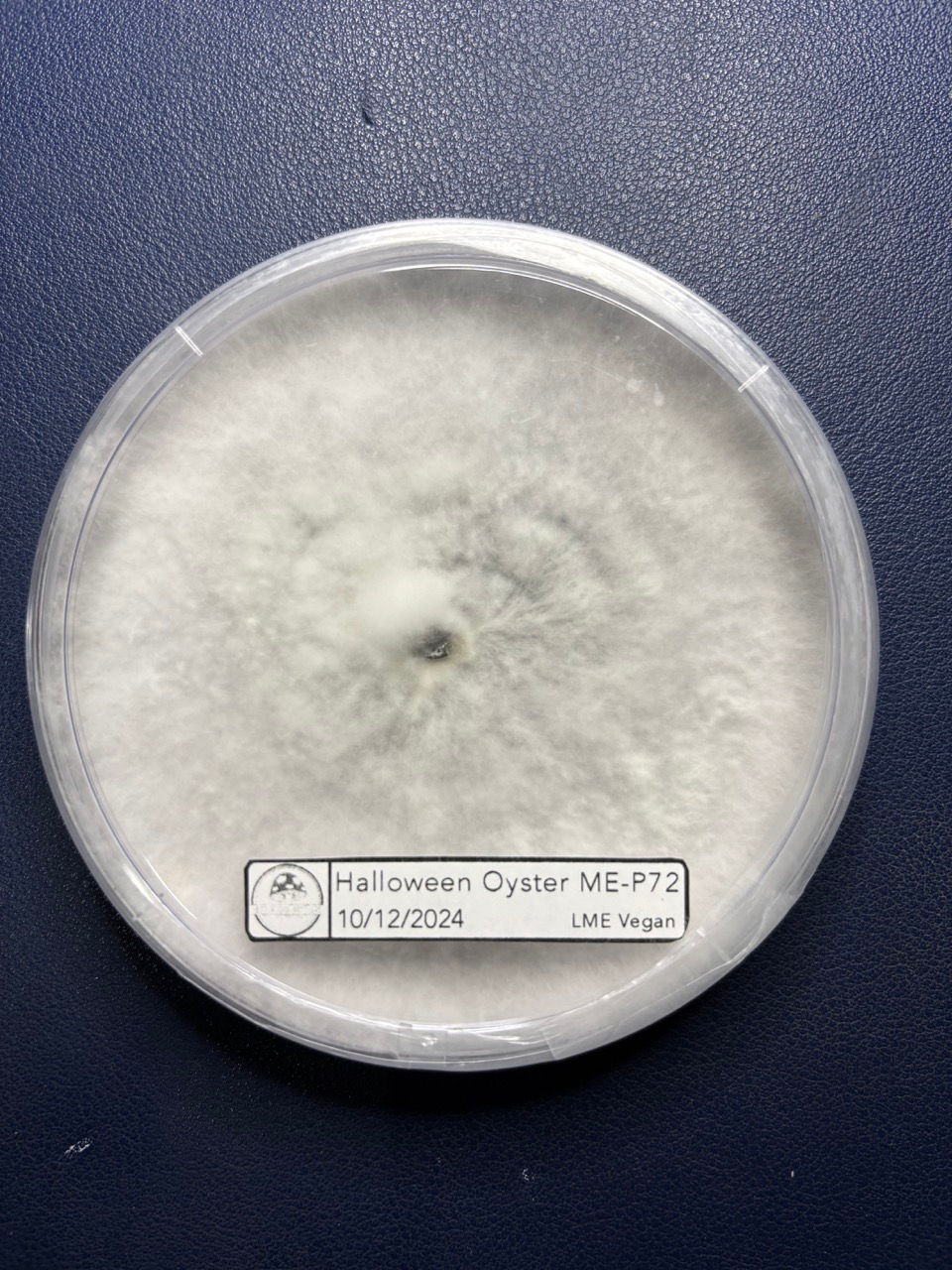 תמונה ממוזערת: צלחות פטרי מקצועיות