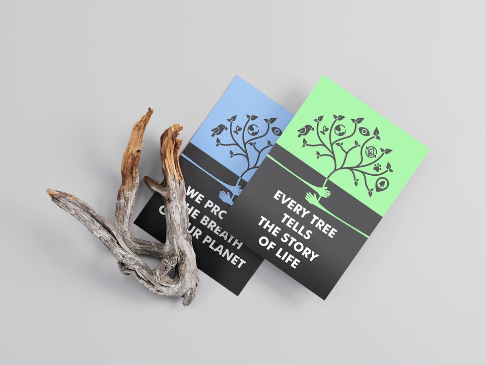 Vector poster mockup C two