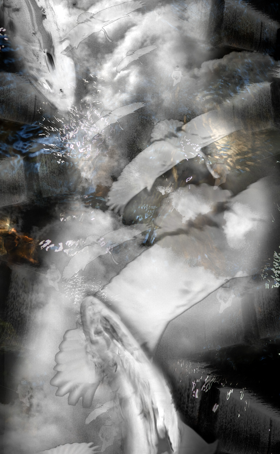 Naoyuki OGINO Art Photography Kyoto Japan 荻野NAO之 アーティスト 写真家