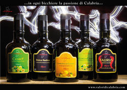CARTELLO VETRINA LIQUORIai-6
