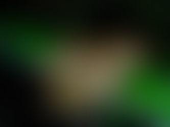 La majorité silencieuse par Katia Elkaim