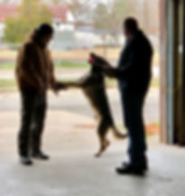 Officer Boone and Volunteer Photgrapher