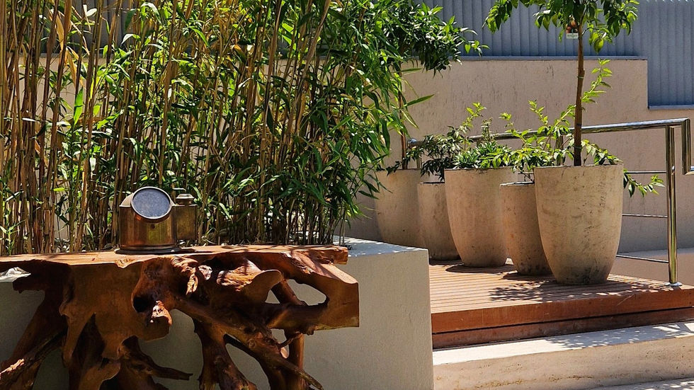 490141825_1171647158206277_5728731221463547536_n