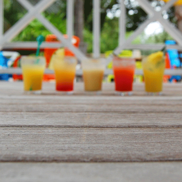 CocktailRace.gif