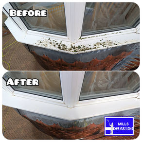 A Fresh Start for Your Home