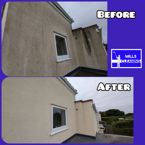 Render Cleaning & Softwashing