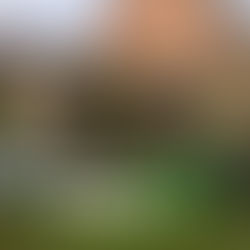 Mills Cleaning: Beat the Algae Before Winter