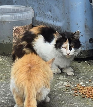 WhatsApp Image 2025-03-02 at 21.20.03.jpeg