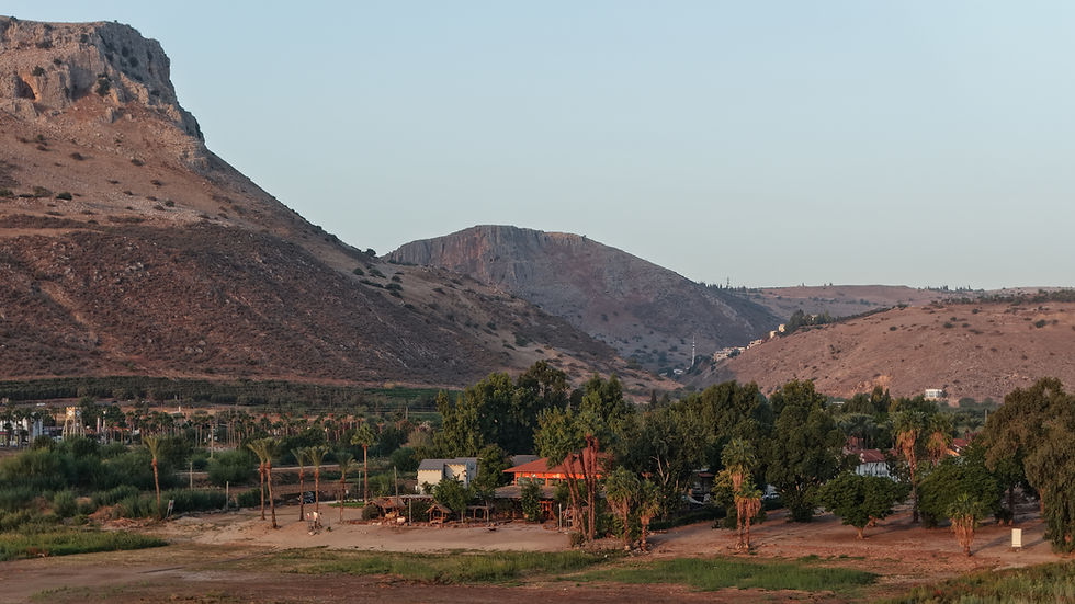 פסטיבל ניה ישראל