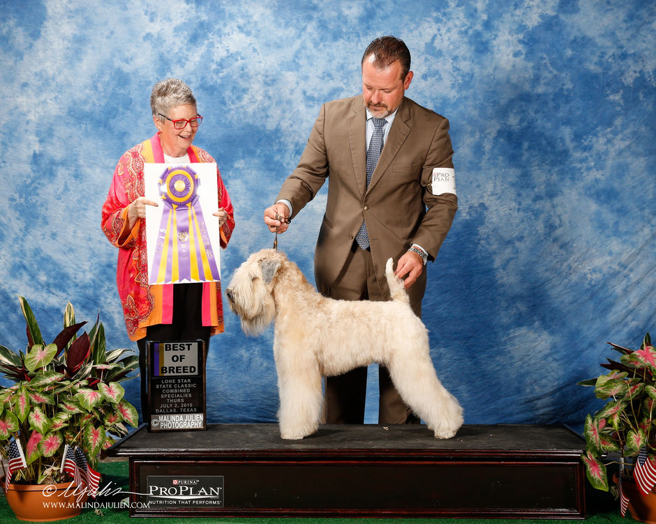 Ceili is a Champion!