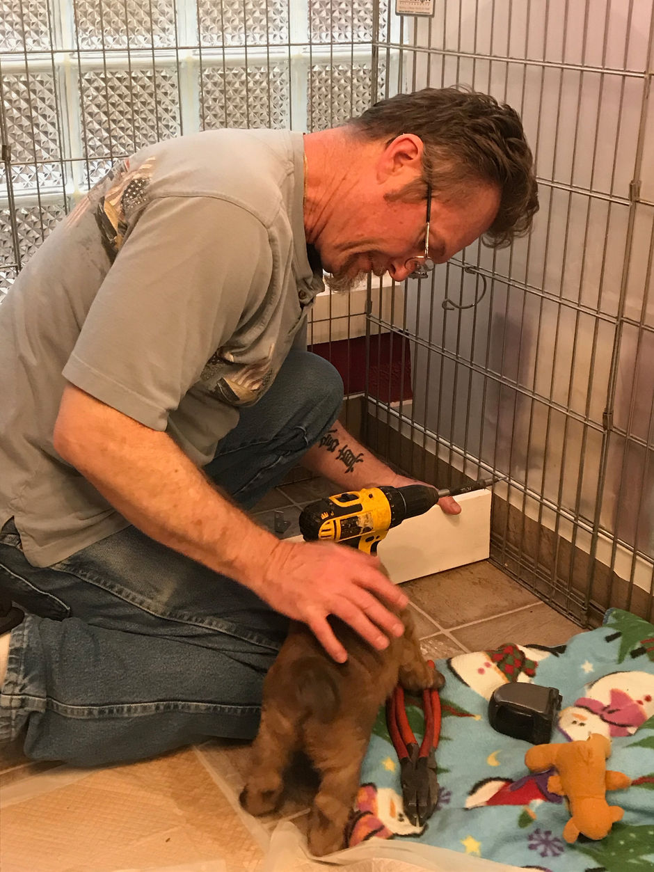 Additions to the Puppy Zone