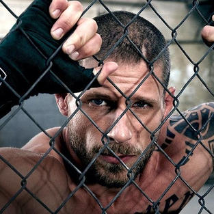 Matt Lauria