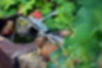 Thumbnail: Sitting or Flying Dragonfly, Design 1, made from Irridescent Stained Glas