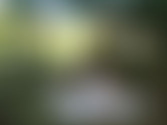 TERAPIAS Holísticas