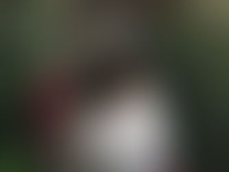 El camino de sanacion dentro de la morada