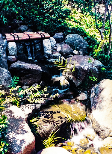 _DSC0315.jpg