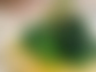 春菊の温かいおひたし