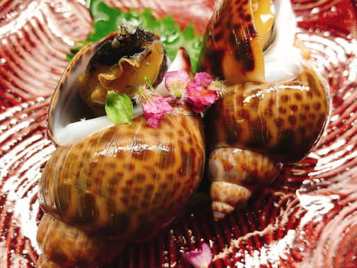 バイ貝の煮浸し♫