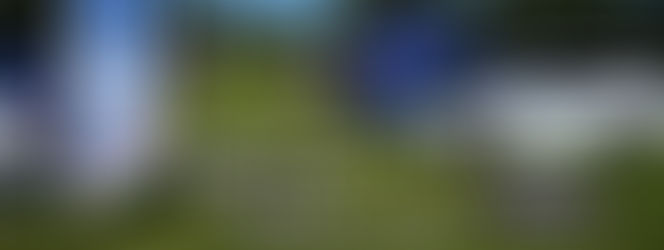 Simply Ford Deadine 12Pm