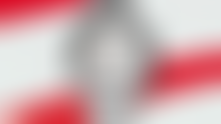 Diều hâu trắng, niềm cảm hứng bất tận cho hãng đồng hồ Bell & Ross