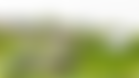 Meliá Hotels International đạt  thành tích trong chiến lược phát triển bền vững