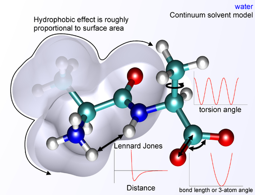 Optimization of amino acid conformation